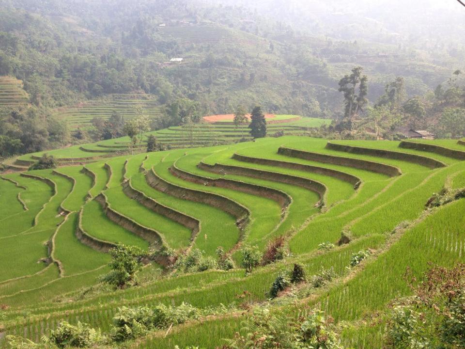 Ngan Nga New Hotel Bac Ha  Ngoại thất bức ảnh